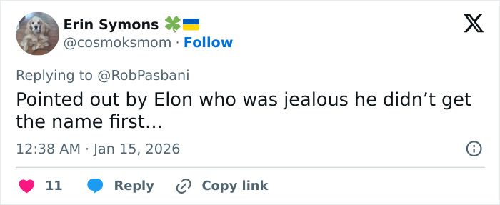 Screenshot of a tweet discussing a billionaire forced to change the name of his boat after people realized what it spells backwards.