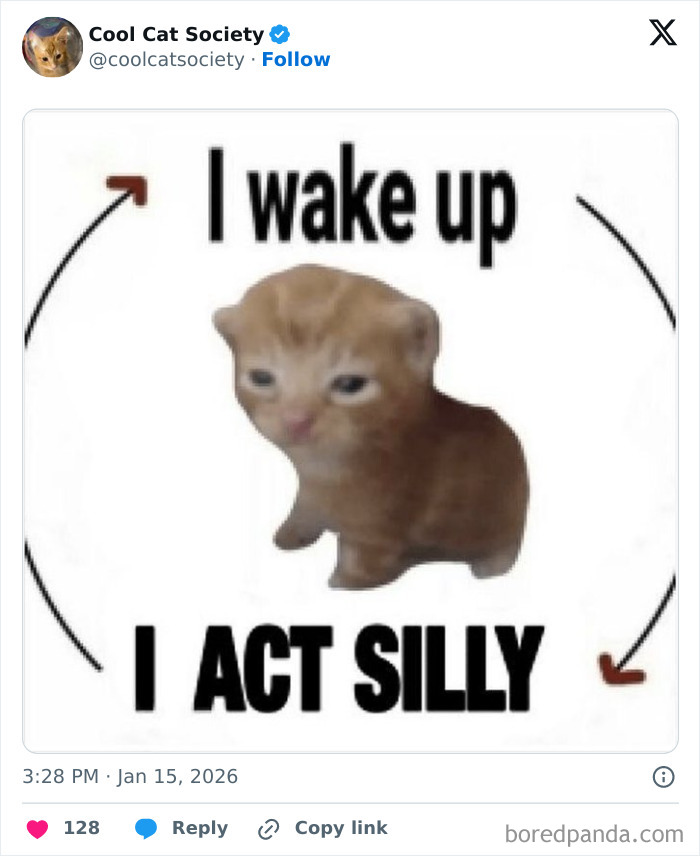 Cute orange kitten cartoon meme with text about waking up and acting silly, highlighting funny memes about how awesome cats are.