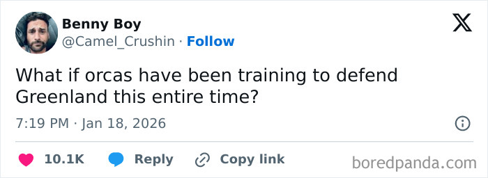 Tweet from Benny Boy humorously suggesting orcas have been training to defend Greenland, part of internet funny moments in January.