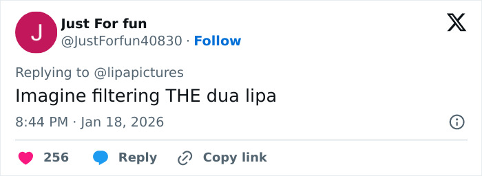 Dua Lipa ficou totalmente chocada depois que fã sul-africana usou filtro em selfie com ela Dua Lipa ficou totalmente chocada depois que fã sul-africana usou filtro em selfie com ela