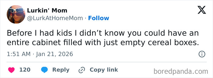 Tweet humorously highlights the unintentionally comedic moments of parenting with empty cereal boxes filling a cabinet.