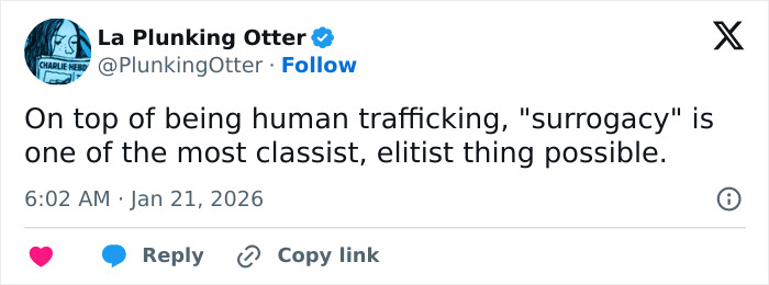 Tweet discussing the performative nature of Meghan Trainor&rsquo;s pic with secret surrogate baby sparking wide reactions online.