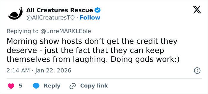 Screenshot of a tweet discussing morning show hosts and their efforts, related to Brooklyn Beckham breakfast video roast.