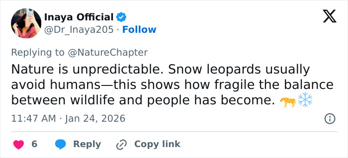 Tweet about nature’s unpredictability and fragile balance between wildlife and humans, mentioning snow leopards and a skier attack. Tweet about nature’s unpredictability and fragile balance between wildlife and humans, mentioning snow leopards and a skier attack.