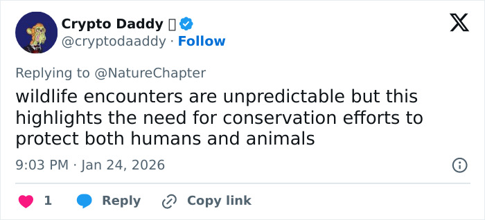 Screenshot of a tweet discussing wildlife encounters and conservation efforts related to a skier attacked by a snow leopard. Screenshot of a tweet discussing wildlife encounters and conservation efforts related to a skier attacked by a snow leopard.