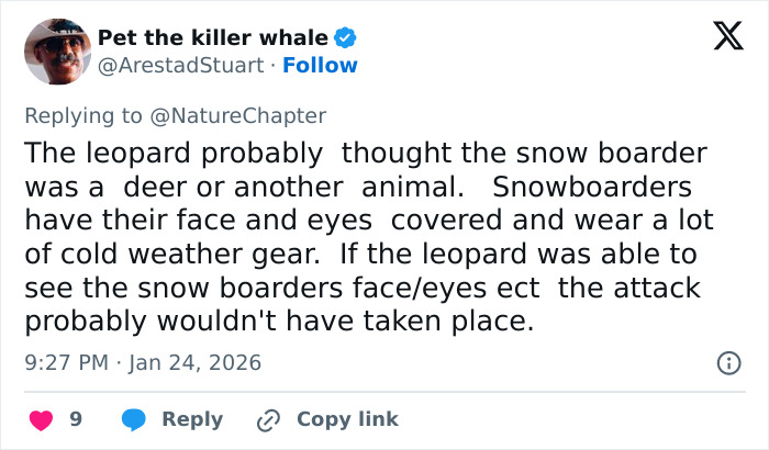 Tweet explaining snow leopard attack on skier, discussing how snowboarding gear may have caused animal confusion.