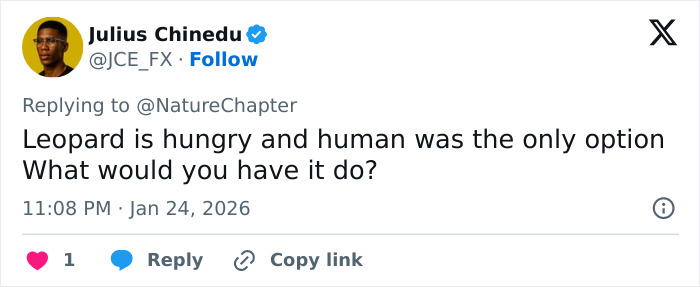 Screenshot of a tweet discussing a skier viciously attacked by a snow leopard after trying to take a selfie with it. Screenshot of a tweet discussing a skier viciously attacked by a snow leopard after trying to take a selfie with it.