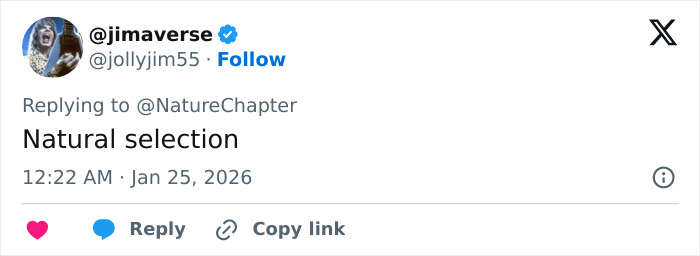 Tweet from user @jimaverse replying to @NatureChapter with the text Natural selection posted at 12:22 AM on Jan 25, 2026. Tweet from user @jimaverse replying to @NatureChapter with the text Natural selection posted at 12:22 AM on Jan 25, 2026.