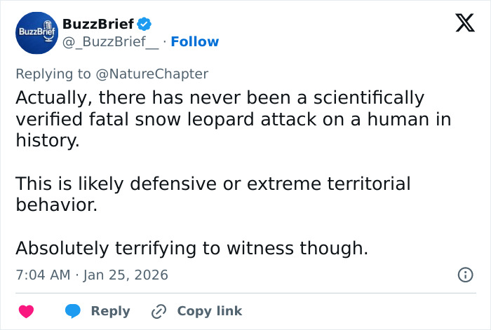 Tweet discussing snow leopard attack on skier, mentioning defensive behavior and lack of fatal verified attacks in history. Tweet discussing snow leopard attack on skier, mentioning defensive behavior and lack of fatal verified attacks in history.