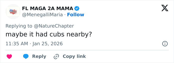 Screenshot of a tweet discussing a possible reason for a skier being attacked by a snow leopard near cubs.