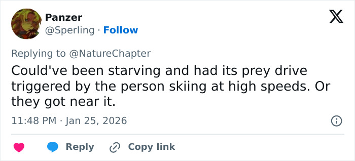 Tweet discussing possible reasons for a skier being attacked by a snow leopard, mentioning prey drive and proximity. Tweet discussing possible reasons for a skier being attacked by a snow leopard, mentioning prey drive and proximity.