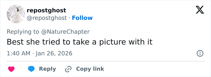 Twitter reply from repostghost commenting on a skier’s attempt to take a selfie with a snow leopard. Twitter reply from repostghost commenting on a skier’s attempt to take a selfie with a snow leopard.