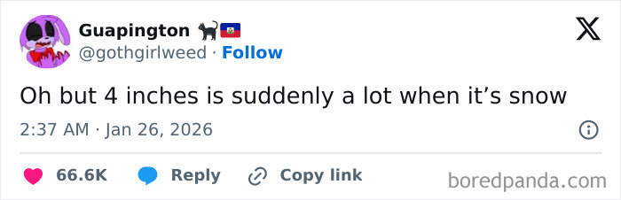 Screenshot of a funny tweet about 4 inches of snow, illustrating internet humor trending this January.