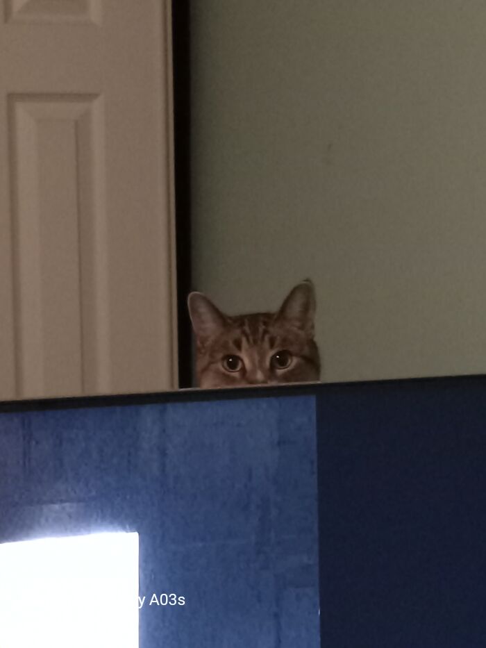 MS Atti (MS Attitude Rip). Behind One Of My Monitors In My Bedroom (I Guess The Heat From My PC), This One, I Know Im Being Judged LOL