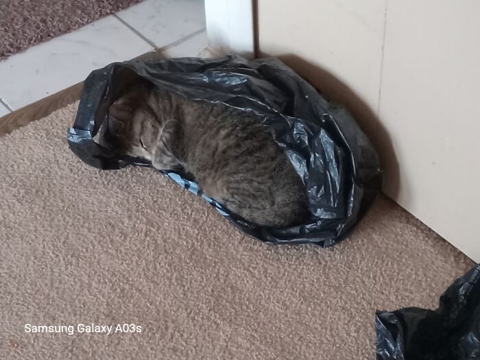 MS Atti (MS Attitude Rip), It Took Me Ages To Find Her