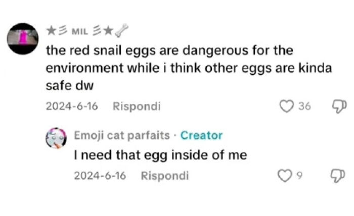 Screenshot of weird and funny TikTok comments discussing red snail eggs and craving an egg, highlighting unhinged TikTok comments.
