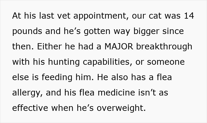 Alt text: Cat starts disappearing for days and neighbor has been secretly adopting and feeding the pet causing weight gain and health concerns