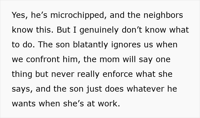 ALT text: Concerned cat owner explains microchipped cat disappearing and neighbor secretly adopting the cat for days