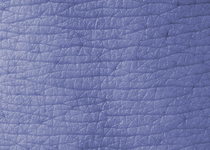Close-up of a rare physiological skin texture showing deep grooves and patterns rarely seen in person.