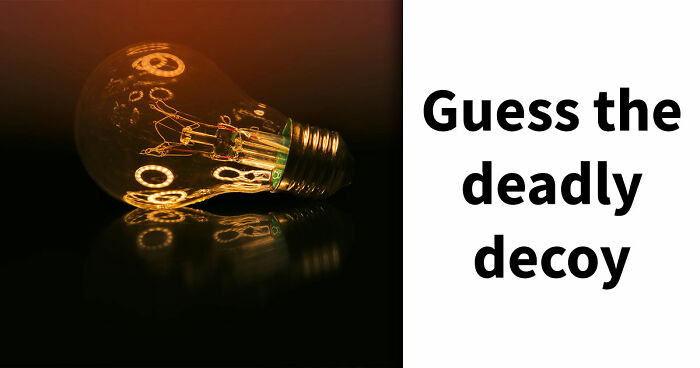 These 26 Odd-One-Out Questions Are Designed To Trick Your Mind – Try To Outsmart Them