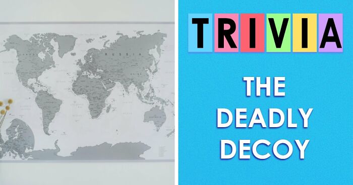 These 26 Odd-One-Out Questions Are Designed To Trick Your Mind – Try To Outsmart Them