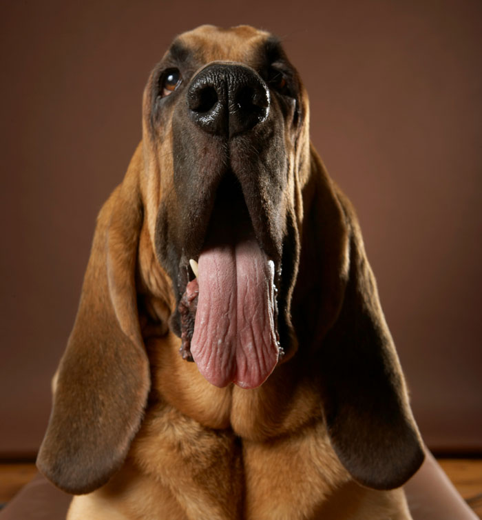 57 Times People Went To A Friend’s House And Instantly Realized “Oh… This Family Is Different”