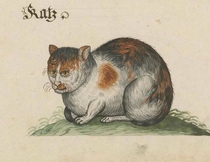 Medieval painting of a cat with a human-like face sitting on grass, perfect for meme captions and punchlines.