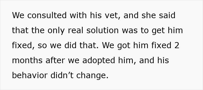 Text about consulting a vet and getting a cat fixed with no change in behavior after adoption.