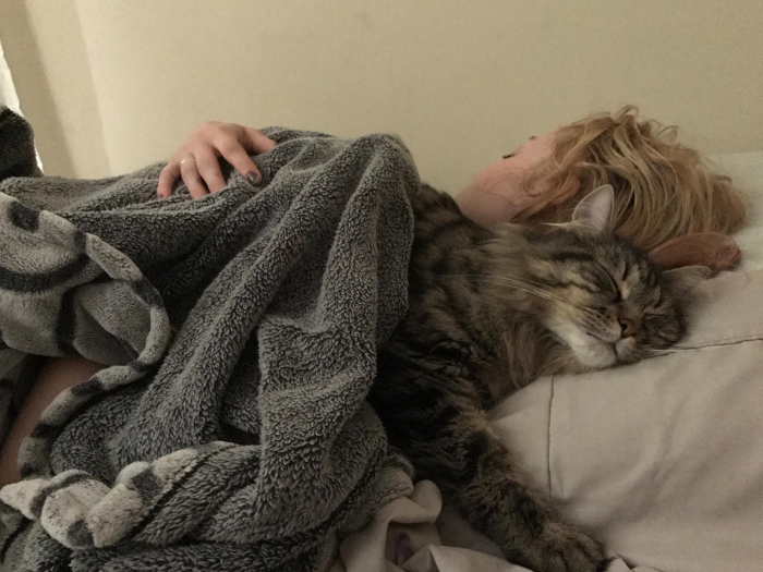 Mulher dormindo sob um cobertor cinza com um gato listrado descansando ao lado dela, ilustrando as necessidades de sono das mulheres. Mulher dormindo sob um cobertor cinza com um gato listrado descansando ao lado dela, ilustrando as necessidades de sono das mulheres.