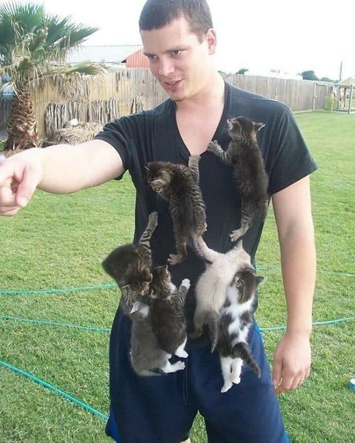 Man outside with multiple kittens climbing on his shirt, showing sweet human-animal bonds in a grassy backyard setting.