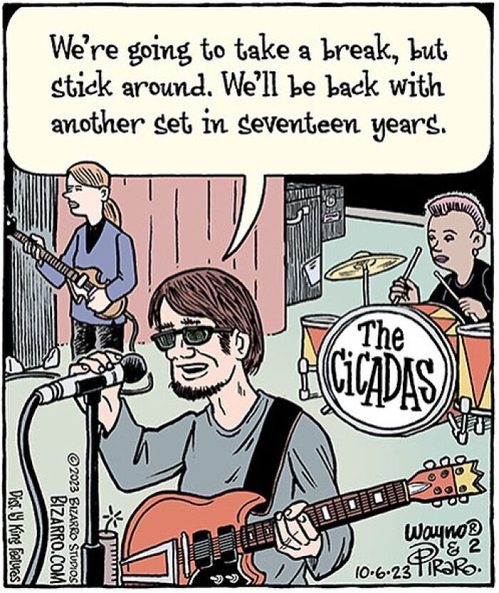 Cartoon of a band taking a 17-year break, illustrating relatable moments in modern life by Dan Piraro.