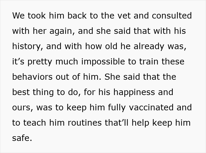 Text excerpt about consulting a vet regarding a cat&rsquo;s behavior and vaccination for the cat&rsquo;s safety and happiness.