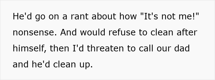 Text excerpt showing a sister frustrated by her brother leaving stains on the toilet seat and threatening to shame him publicly.