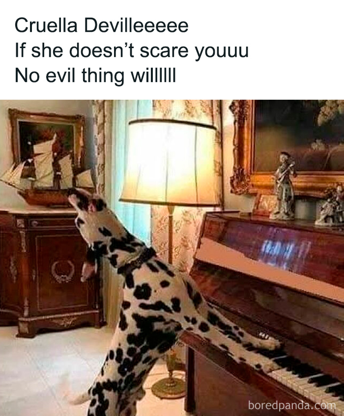 Dalmatian dog standing on hind legs playing piano in a room with classic furniture, cute and sweet animal memes.