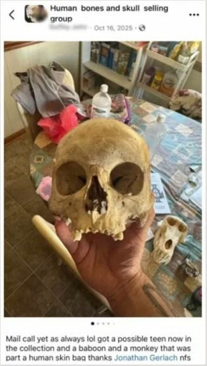 Hand holding a skull with human bones and skulls for sale, linked to chilling house and horrifying discovery keywords.