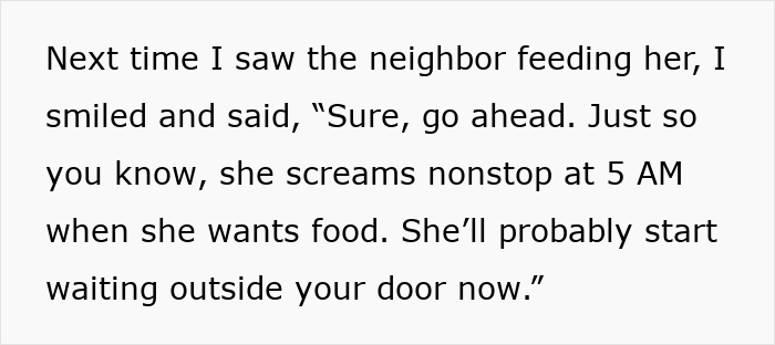 Woman Ignores Warnings About Not Feeding The Neighbors Cat, Learns Her Lesson The Hard Way