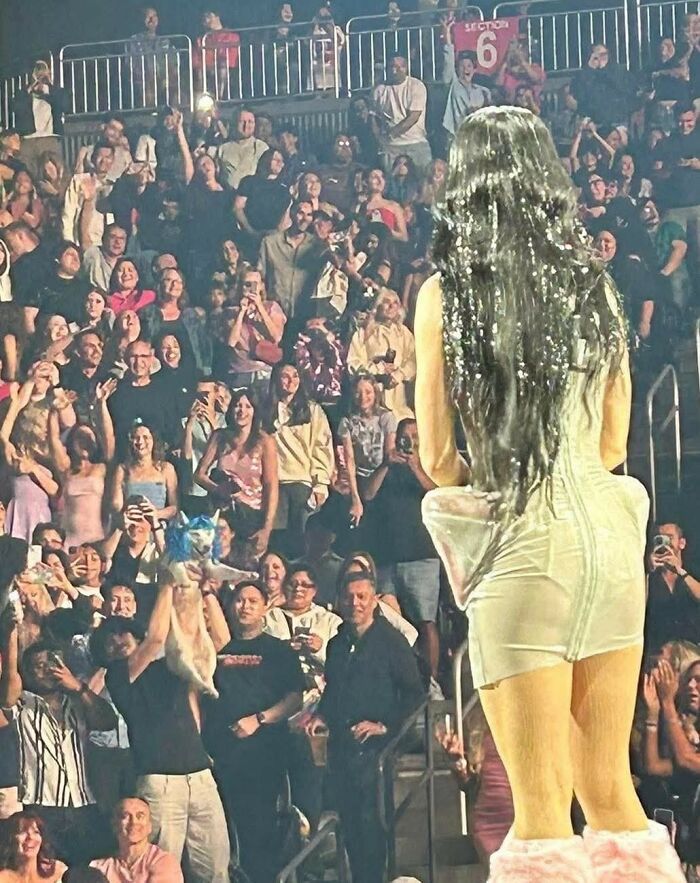 Concert crowd excitedly capturing the sweetest human-animal bonds moment with a small dog wearing a blue hat on stage.