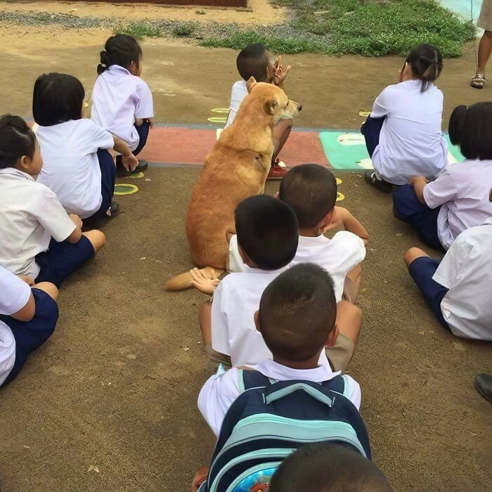 Children sitting outdoors with a dog, showcasing important animal images capturing the sweetest human-animal bonds.