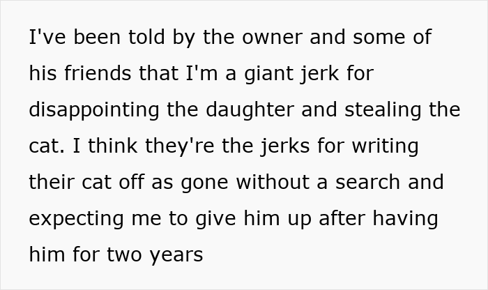 Text excerpt about a lost cat going from street survivor to family royalty amid owner disputes after two years.