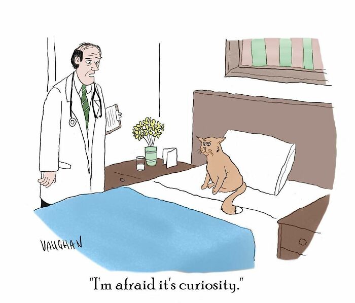 Doctor with clipboard speaking to a cat sitting on a bed in a humorous comic about comedy and curiosity.