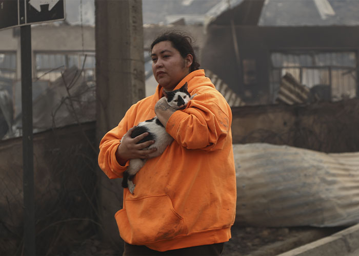 Volunteer in orange hoodie holding cat amid smoke and debris after Chile wildfires burn town overnight.