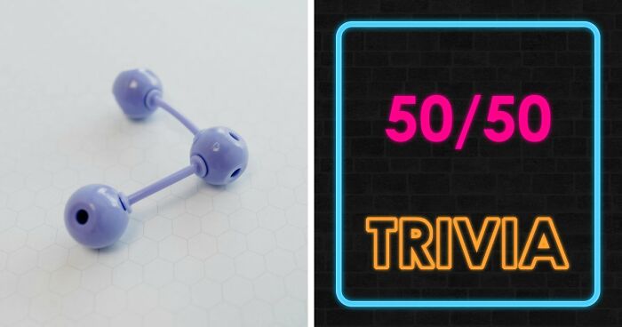 40 General Knowledge Questions Where Every Answer Is 50-50 – Good Luck