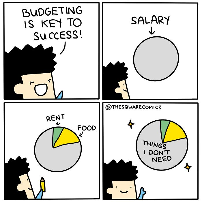 Comic showing budgeting struggle with salary divided into rent, food, and things I don’t need, capturing adulthood challenges.