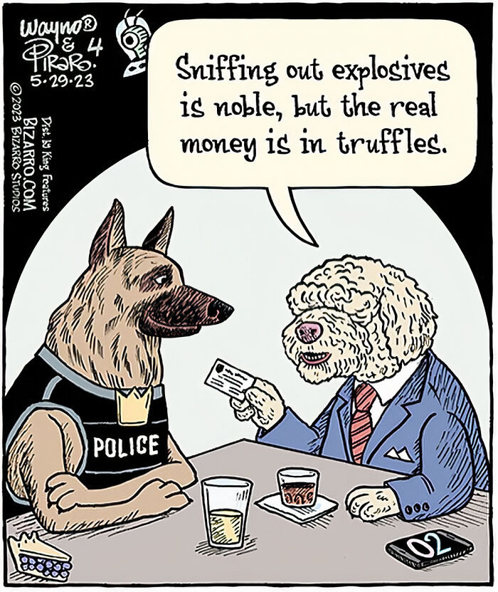 Cartoon of two dogs, one a police dog and the other in a suit, humorously discussing sniffing explosives and truffles.