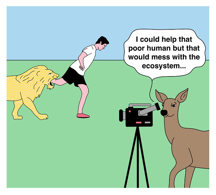 Studio Stoutpoep illustration: deer filming as a lion bites a runner's leg, satirical commentary on ecosystem.