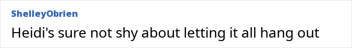 Screenshot of comment reading Heidi Klum is sure not shy about letting it all hang out, by ShelleyObrien Screenshot of comment reading Heidi Klum is sure not shy about letting it all hang out, by ShelleyObrien
