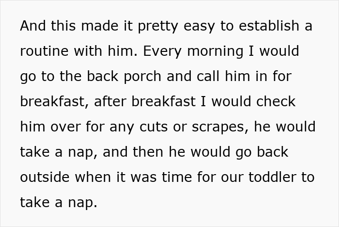 Cat goes missing for days, neighbor secretly adopting him, owner establishes morning routine with the cat on the porch.