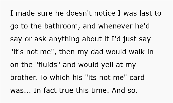 Text excerpt from a sister shaming her brother publicly for leaving stains on the toilet seat to stop him.