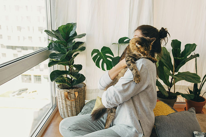 Person holding a cat near a window surrounded by indoor plants, highlighting a cat disappearing and neighbor adopting story.