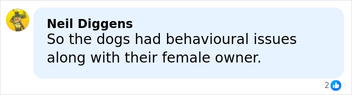 Woman, 64, Leaves Husband With Life-Threatening Injuries After He Reveals He Put Down Their Dogs Woman, 64, Leaves Husband With Life-Threatening Injuries After He Reveals He Put Down Their Dogs